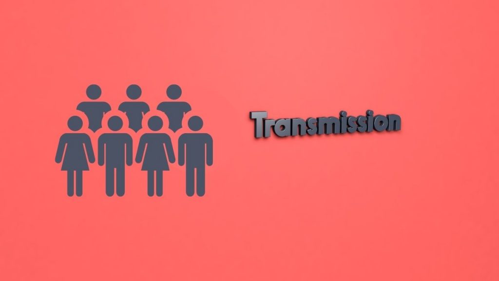 HSV 2 Transmission Rates Female to Male and Vice-Versa