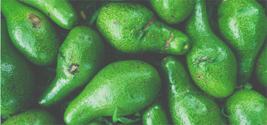 Avocado is rich in lysine