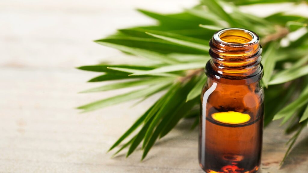 How to Use Tea Tree Oil for Herpes