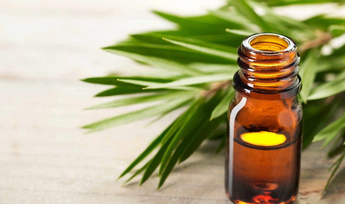 How to Use Tea Tree Oil for Herpes? A Complete Practical Beginner’s Guide
