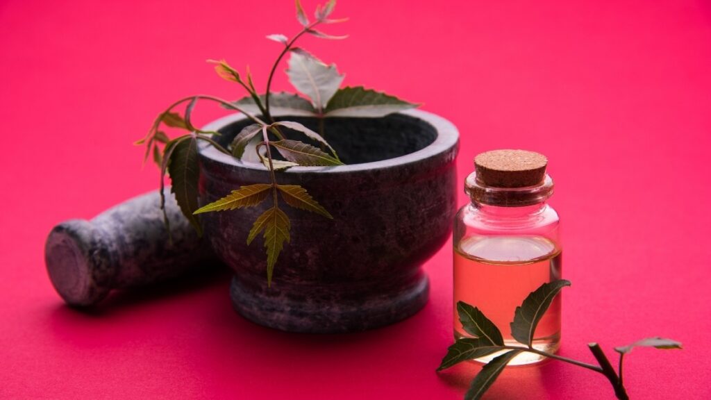 use neem oil for herpes