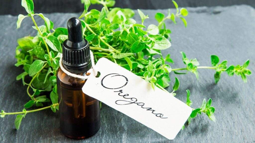 How to Use Oregano Oil for Herpes